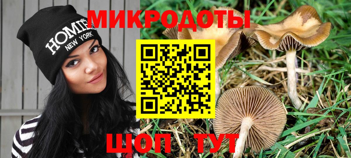 купить  цена  Вход с VPN  Семёнов  Псилоцибиновые грибы прущие грибы 