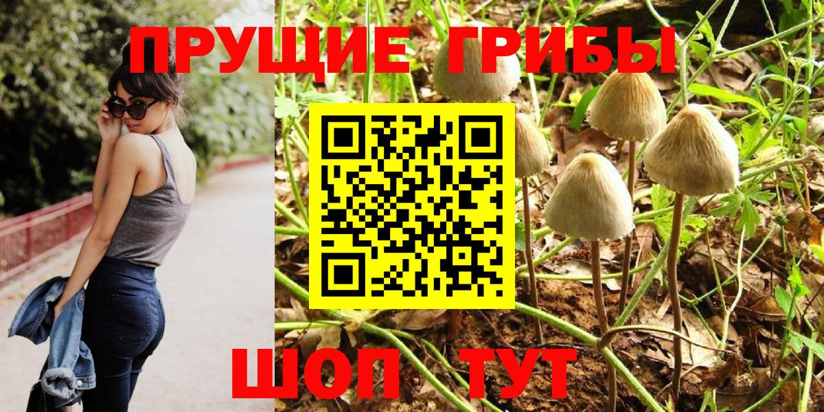 Галлюциногенные грибы мицелий Семёнов