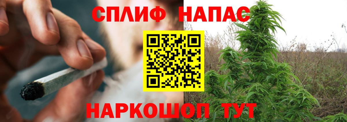 Семёнов  Бошки марихуана гибрид  Вход с VPN  Марихуана гибрид 